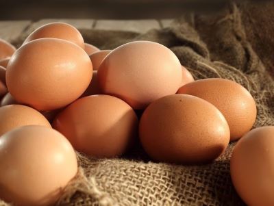 Yumurta Taşımacılığı