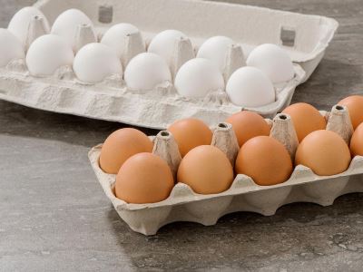 Yumurta Taşımacılığı