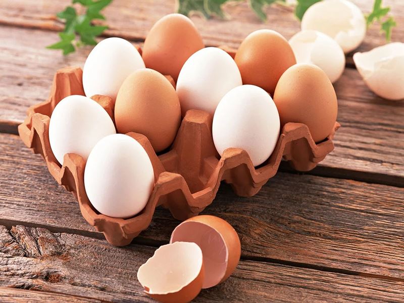 Yumurta Taşımacılığı